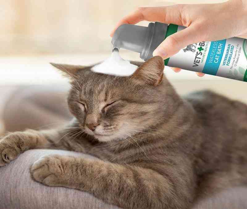 спрей шампунь для котов